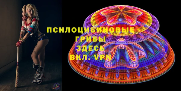 шишки Алзамай