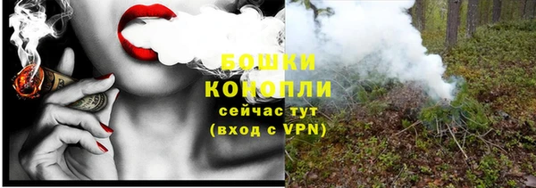 шишки Алзамай