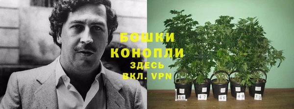 шишки Алзамай