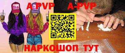 дживик Кингисепп