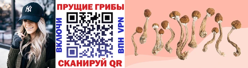 Галлюциногенные грибы Magic Shrooms  Лабытнанги 
