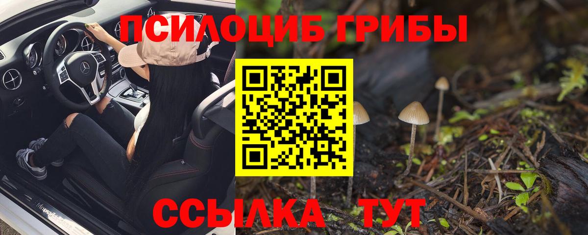 Лабытнанги  Галлюциногенные грибы Cubensis  Псилоцибиновые грибы Cubensis  Вход с VPN 